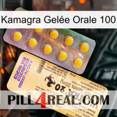 Kamagra Gelée Orale 100 new06